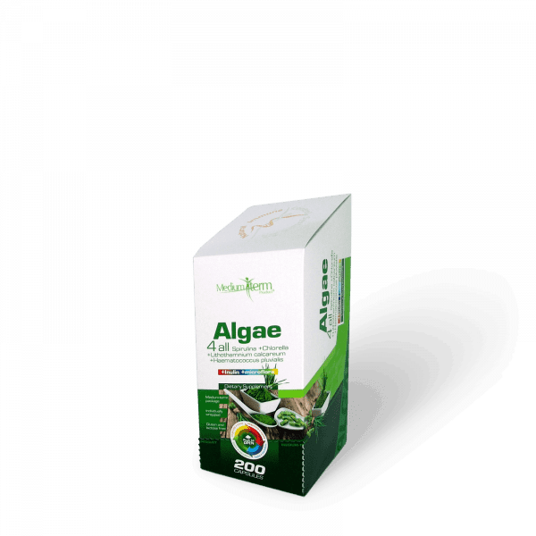 Algae 4 all